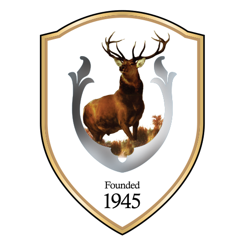 BG Tampines Rovers FC crest